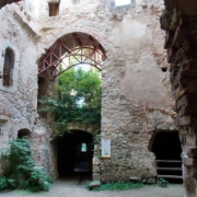 lanzser-vara-burgenland