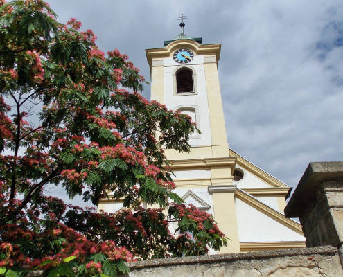 oggau-am-neusiedler-see-burgenland.