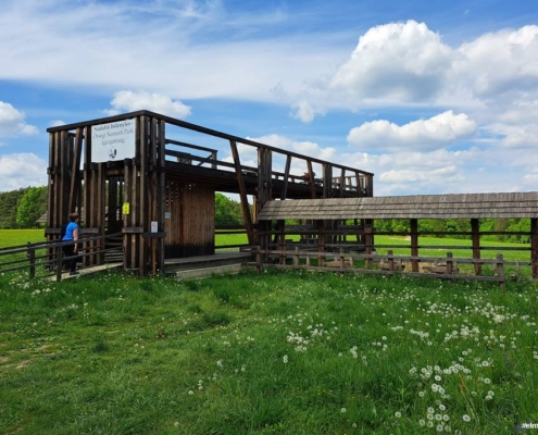bolenyles-szalafo-pityerszer