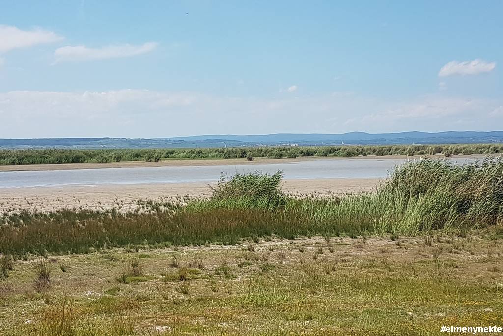 Illmitz, szikes tó illmitz-burgenland