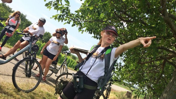 Kerékpárral a Fertő tó osztrák oldalán, a Lajta-hegység Natúrparkon át