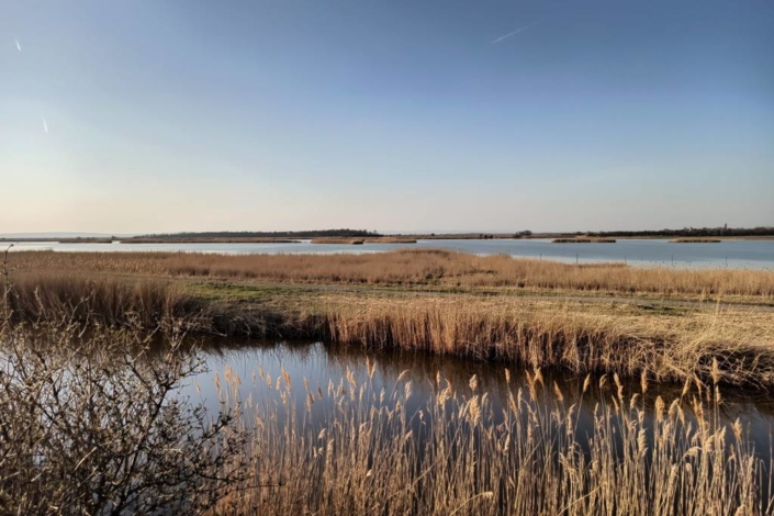 Fertő-Hanság Nemzeti Park ferto-hansag-nemzeti-park