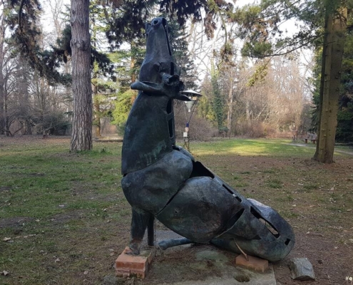 megesebzett-szarvas-soproni-botanikus-kert