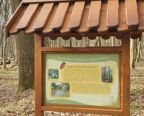dobogo-erdo-tanosveny