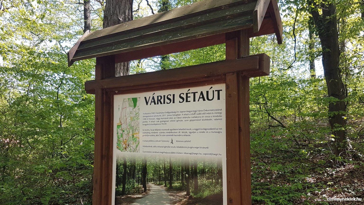 Varisi A soproni erdő legkedveltebb sétaútja, a Várisi tanösvény - ÉlményNektek