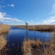 Fertő-tavi kenutúra, Balfi Csárdakapu kikötő