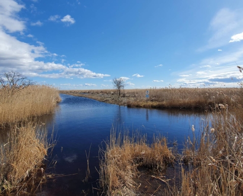 Fertő-tavi kenutúra, Balfi Csárdakapu kikötő