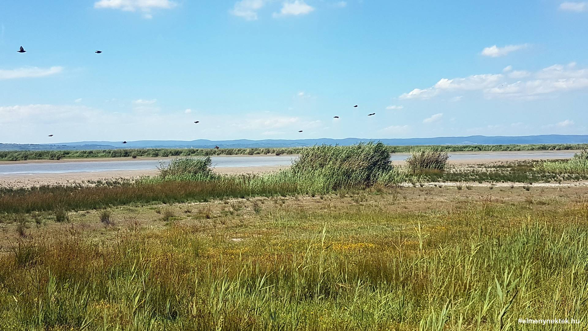 neusiedler-see-seewinkel-nemzeti-park