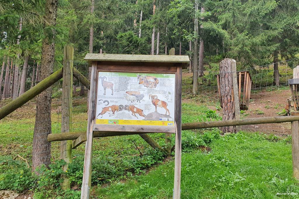 Falkenstein-Schwarzau Naturpark