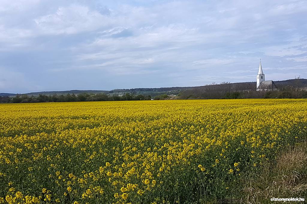 schattendorf-somfalva-burgenland