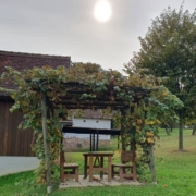 heiligenbrunn-szentkut-pincenegyed